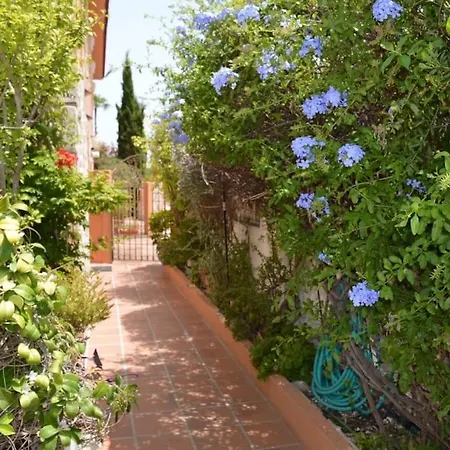 Carmen Costa Blanca Apartment Denia